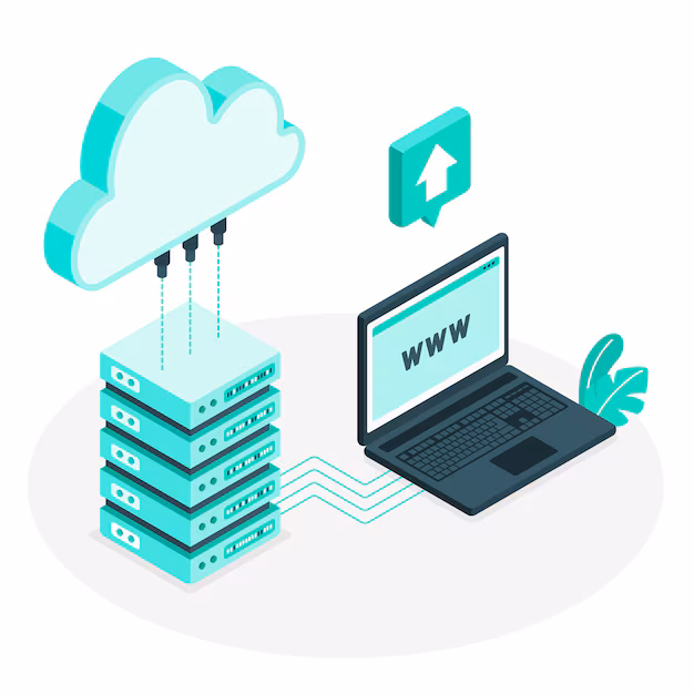 Domain & Hosting